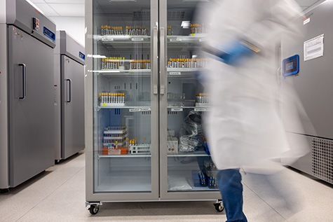 test tube samples in a refrigerated storage unit