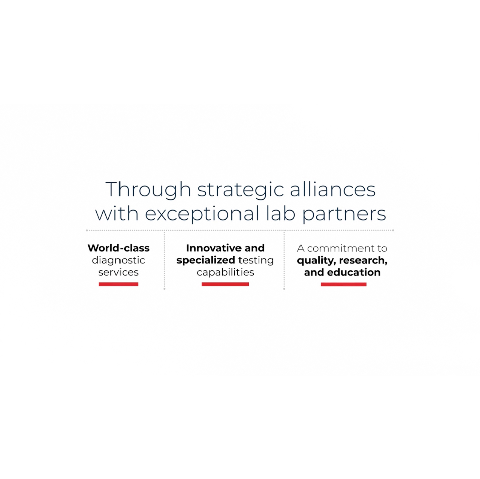 Linked image of Global Reach Video Thumbnail